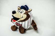 Load image into Gallery viewer, TC Bear - Minnesota Twins Mascot
