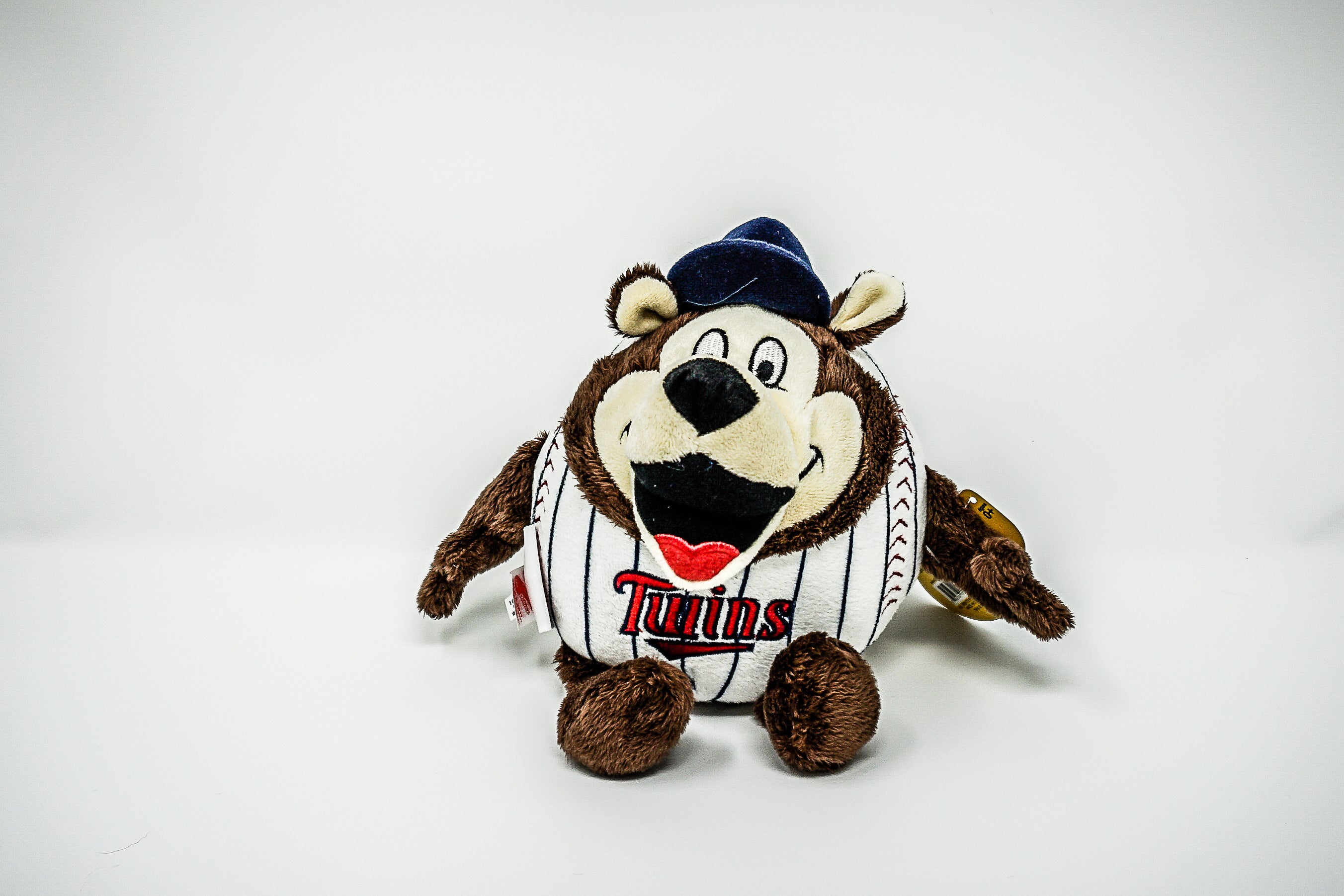 Minnesota Twins T.C. Bear Minimalist MLB Mascots Collection 12 x